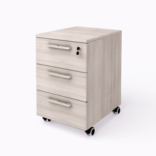 Mobilný kontajner Office Wels 40,8x50,4x63,3cm, agát svetlý