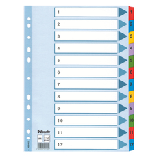 Kartonový register A4 Mylar