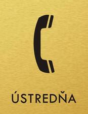 Štítok na dvere zlat.mat. 7x9cm Picto / Zákaz telefonovania