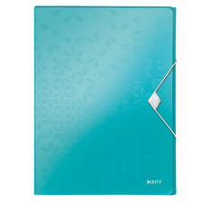 Box na dokumenty Leitz WOW