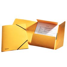 Prešpánový obal s chlopňami Esselte