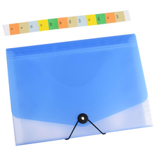 Organizér na dokumenty s gumou A4 Opaline čirá-modrá