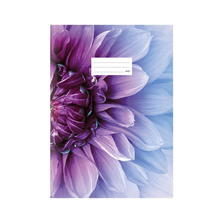 Zošit 440 LUX A4 čistý 40 listov, kvet fialový 7520354