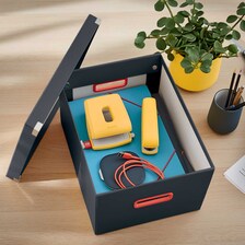 534819 Škatuľa univerzálna Click &amp; Store COSY