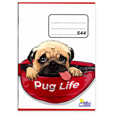 Zošit 544 A5 linajkový 40 listov