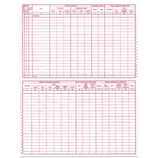 302 Penazny dennik podnikatela