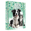 Box na zošity A4 JUMBO Max JUNIOR S9 Best Friends Forever
