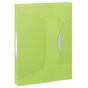 Box na dokumenty Esselte VIVIDA Zelená