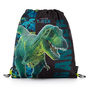 Vrecko na prezuvky Prémium COOL dinosaurus Zelená