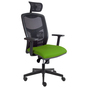 YORK sieť kancelárska stolička zelená Zelená, nastav. výšky a sklonu