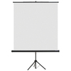 Prenosné projekčné plátno
