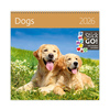 Závesný kalendár Dogs 2026