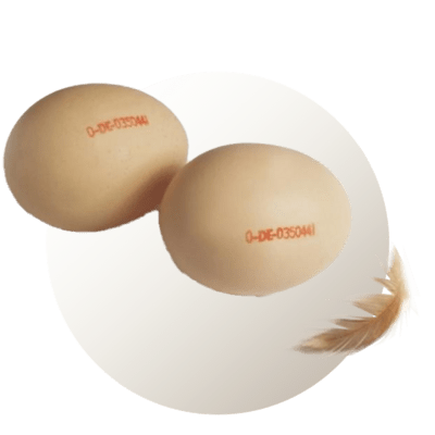 Potravinárske pečiatkové farby