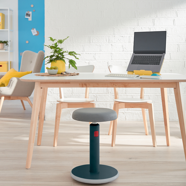 Ergonomická balančná stolička Leitz ERGO Cosy