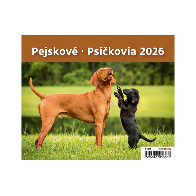 Stolový kalendár Psíčkovia MiniMax 2026 SM13-26