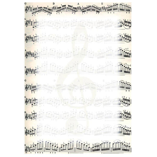 DIPLOM Noty 170g papier A4 bal. 25 ks 213317