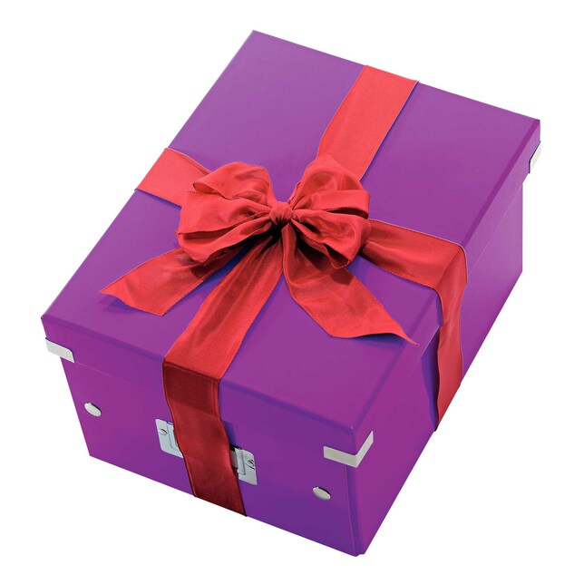 Škatuľa univerzálna Click &amp; Store WOW