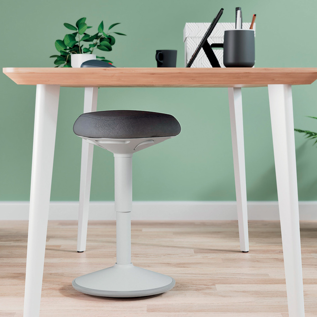 D.Balančná stolička na sedenie Leitz Ergo