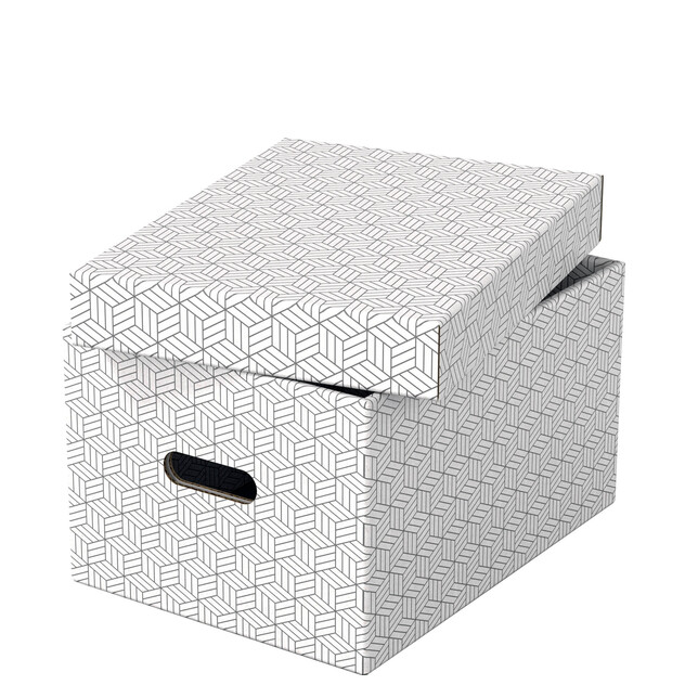 628282 Úložný box stredný biely 3ks Esselte Home s úchytom