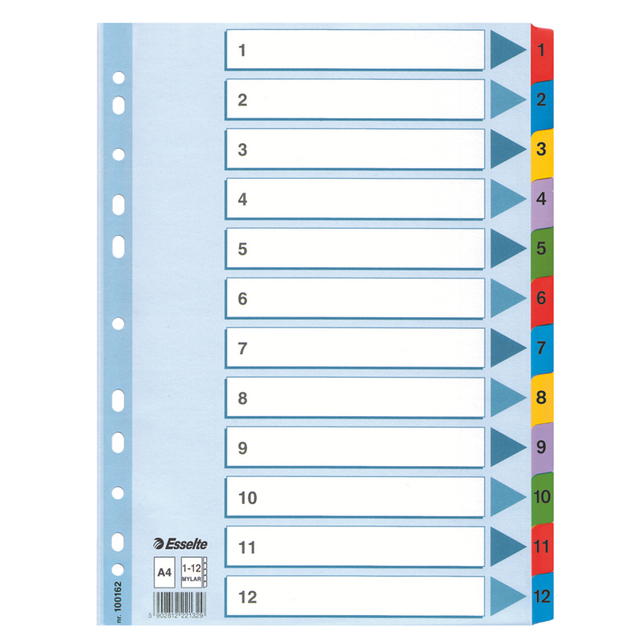 Kartonový register A4 Mylar