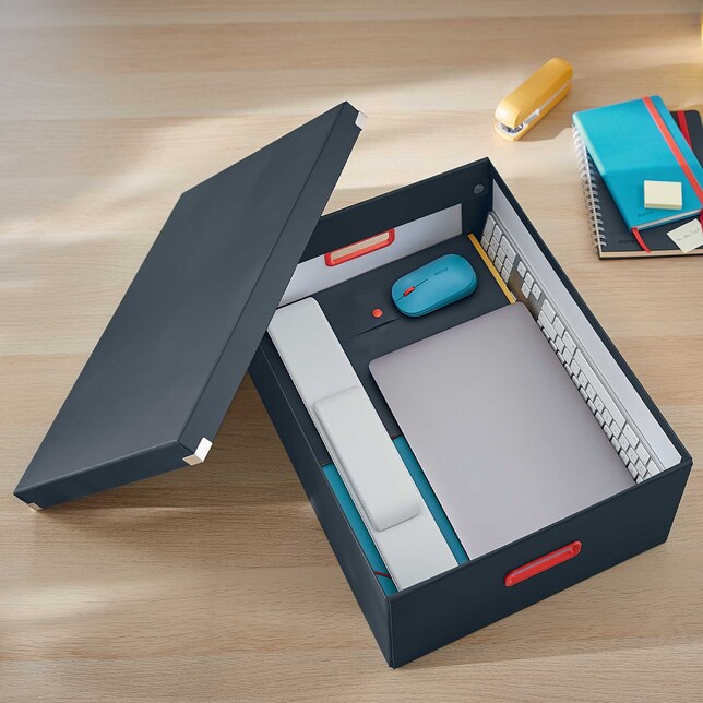 Škatuľa velká Click &amp; Store COSY