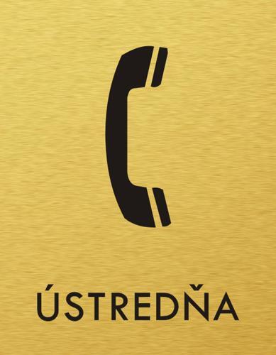 Štítok na dvere zlat.mat. 7x9cm Picto / Zákaz telefonovania