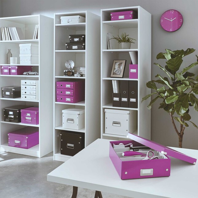 Škatuľa s 2-4 priehr. Click&amp;Store WOW