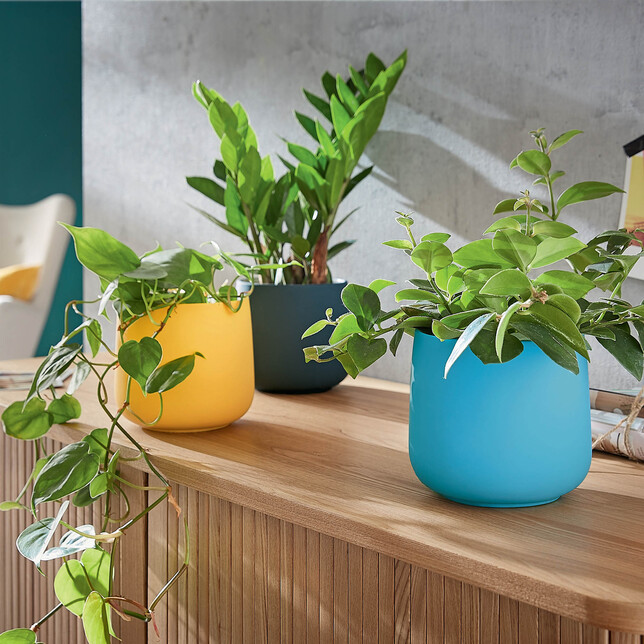 Kvetináč Leitz Cosy