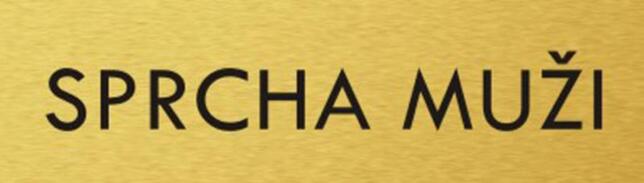 Štítok na dvere zlat.mat. 4x14cm text / SPRCHA MUŽI