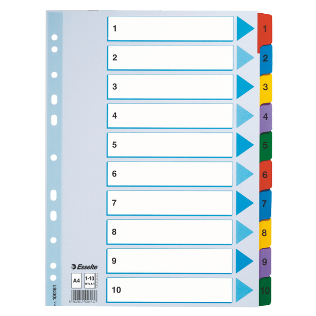 Kartonový register A4 Mylar