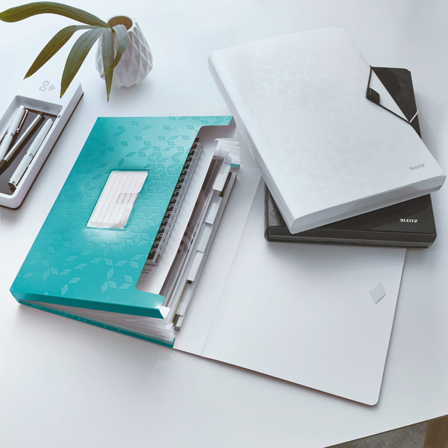 Aktovky na spisy Leitz WOW