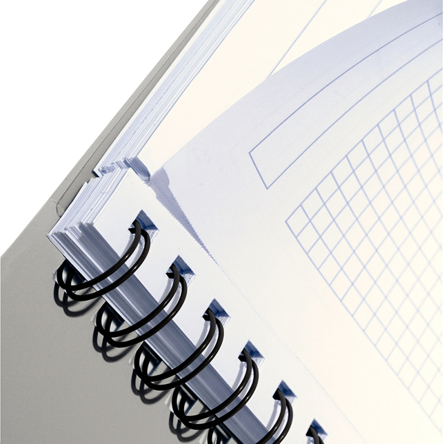 Poznámkový blok linajkový Leitz Executive