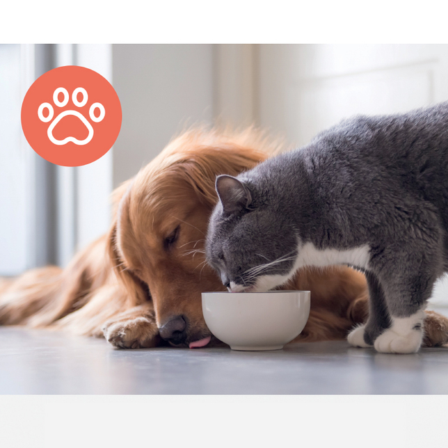 Filter do Prostredia zvierat Leitz Trusen Z-1000  HEPA 3v1 čističky vzduchu