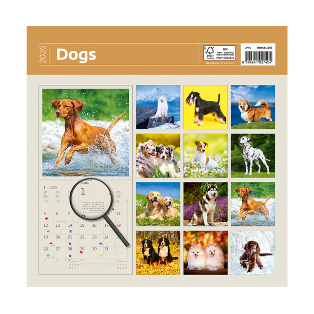 Závesný kalendár Dogs 2026