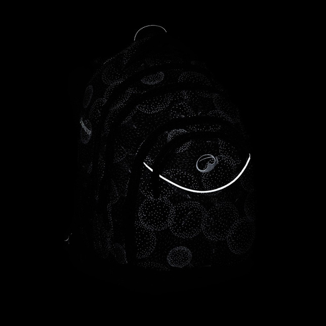 Študentský batoh ENERGY 20 A