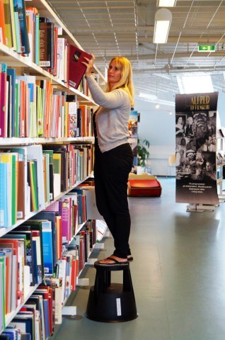 Stúpadlo kovové 2 stupňové