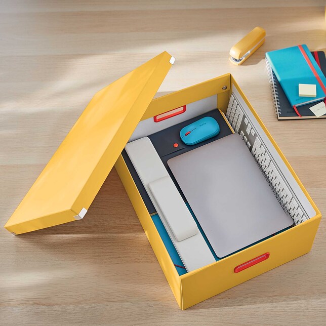 Škatuľa velká Click &amp; Store COSY