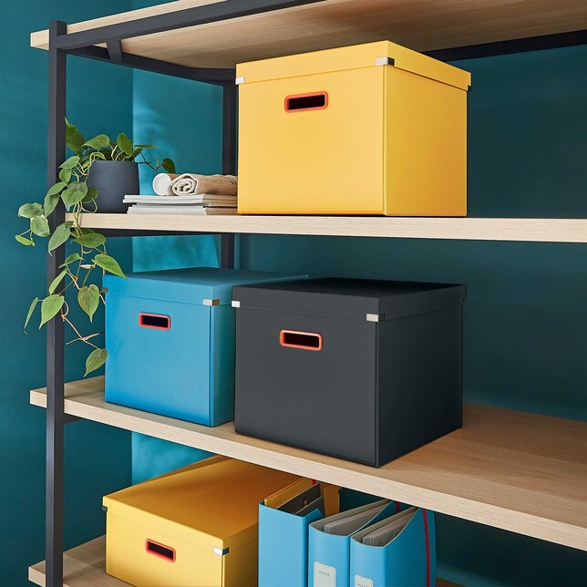 534819 Škatuľa univerzálna Click &amp; Store COSY