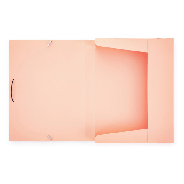 Plastový box PP s gumou A4 PASTELINi