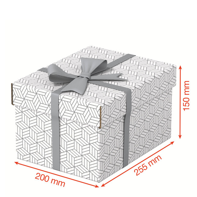 628280 Úložný a darčekový box malý biely 3ks Esselte Home