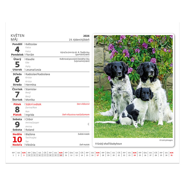 Stolový kalendár Psíčkovia MiniMax 2026 SM13-26