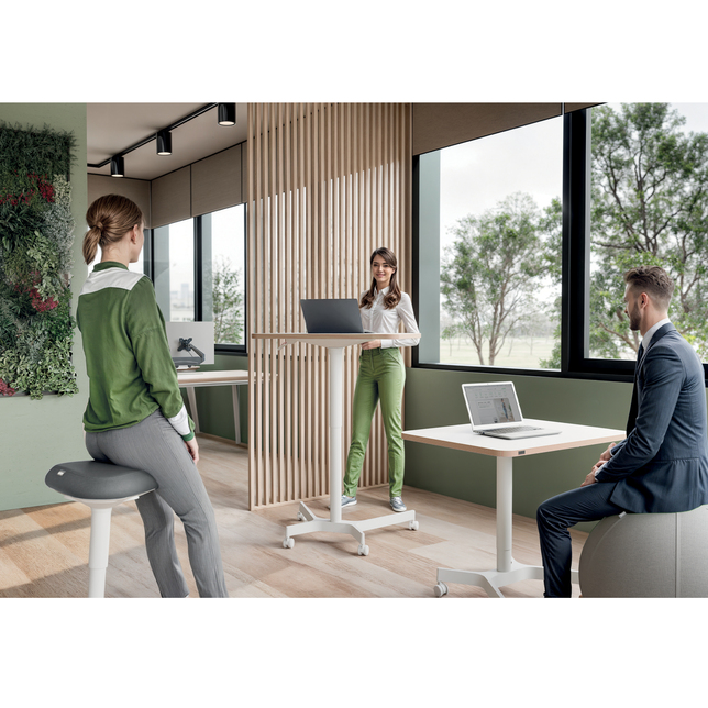 654485 Ergonomická balančná stolička šedá Leitz Ergo