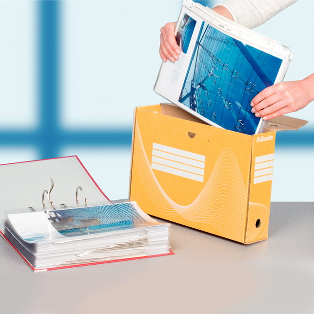 Archivačné boxy 80mm Esselte